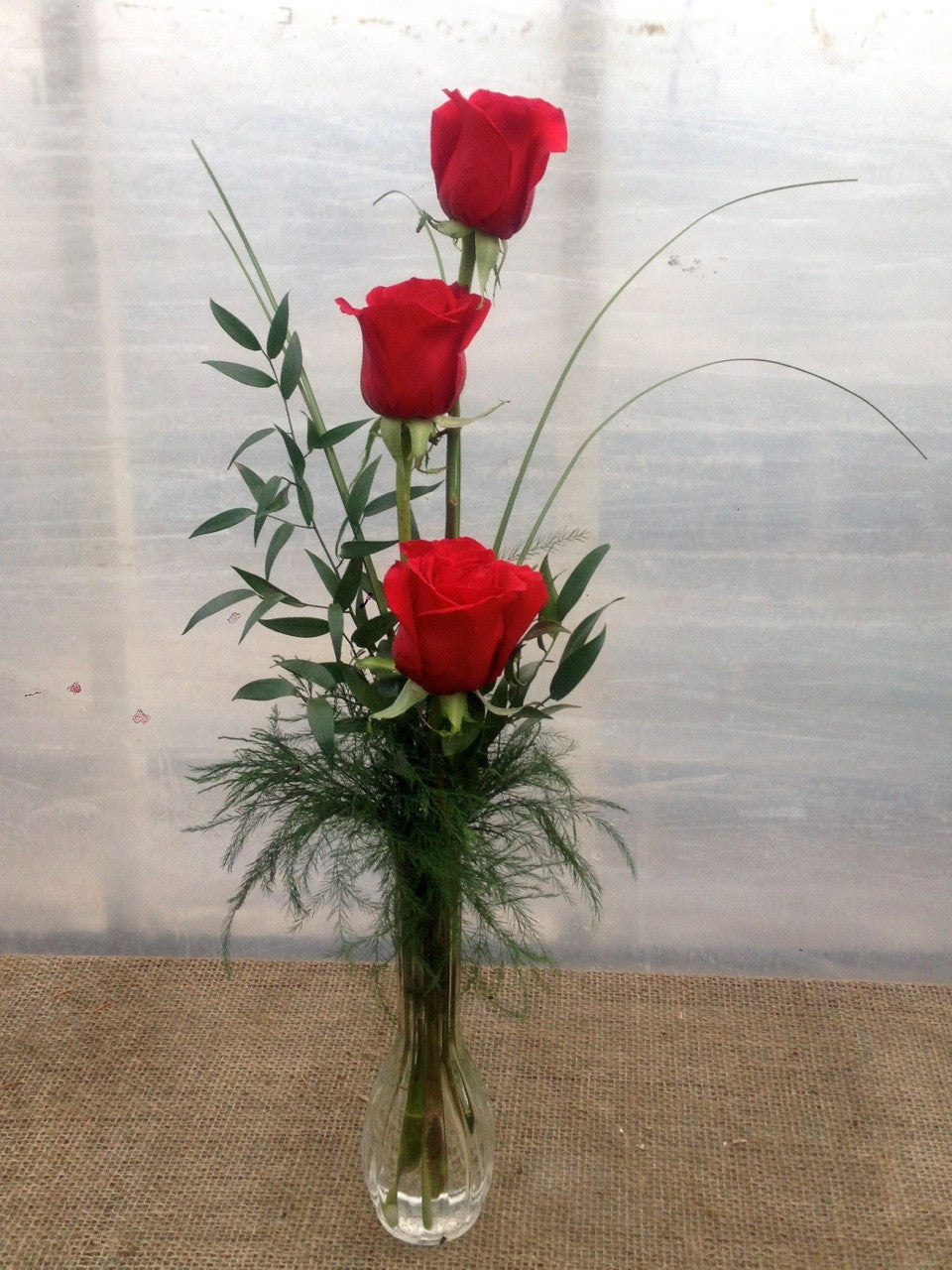 Three Red Rose Bud Vase