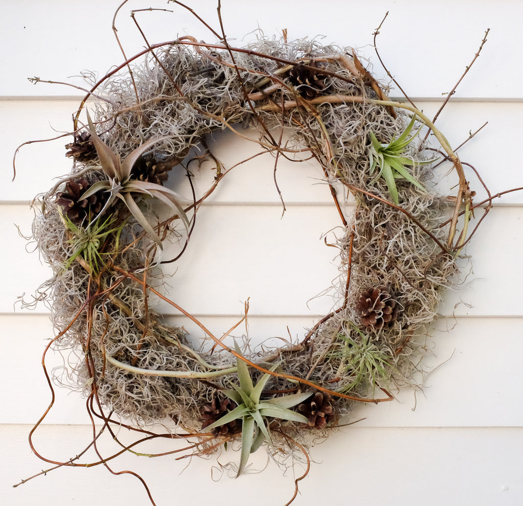 Tillandsia (Air Plant) Wreath | Michler's Florist