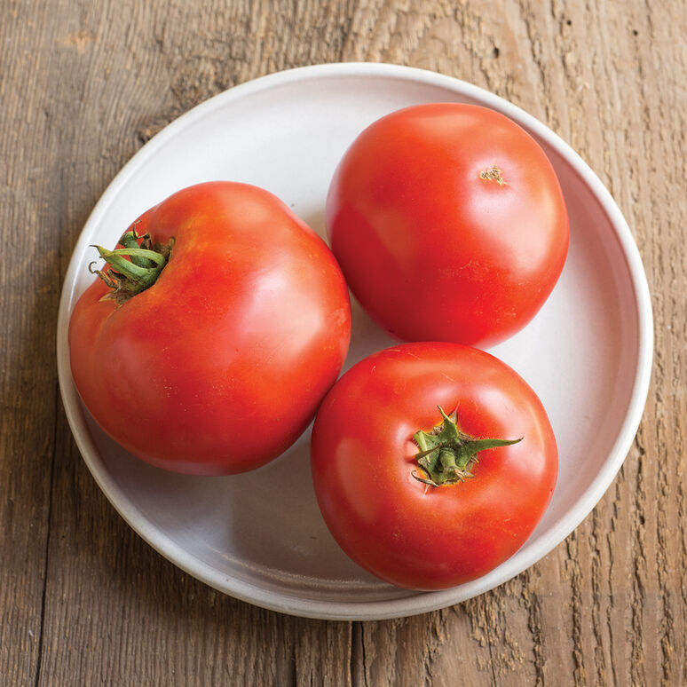 Tomato - Big Beef | Garden Center | Lexington, KY – Michler's