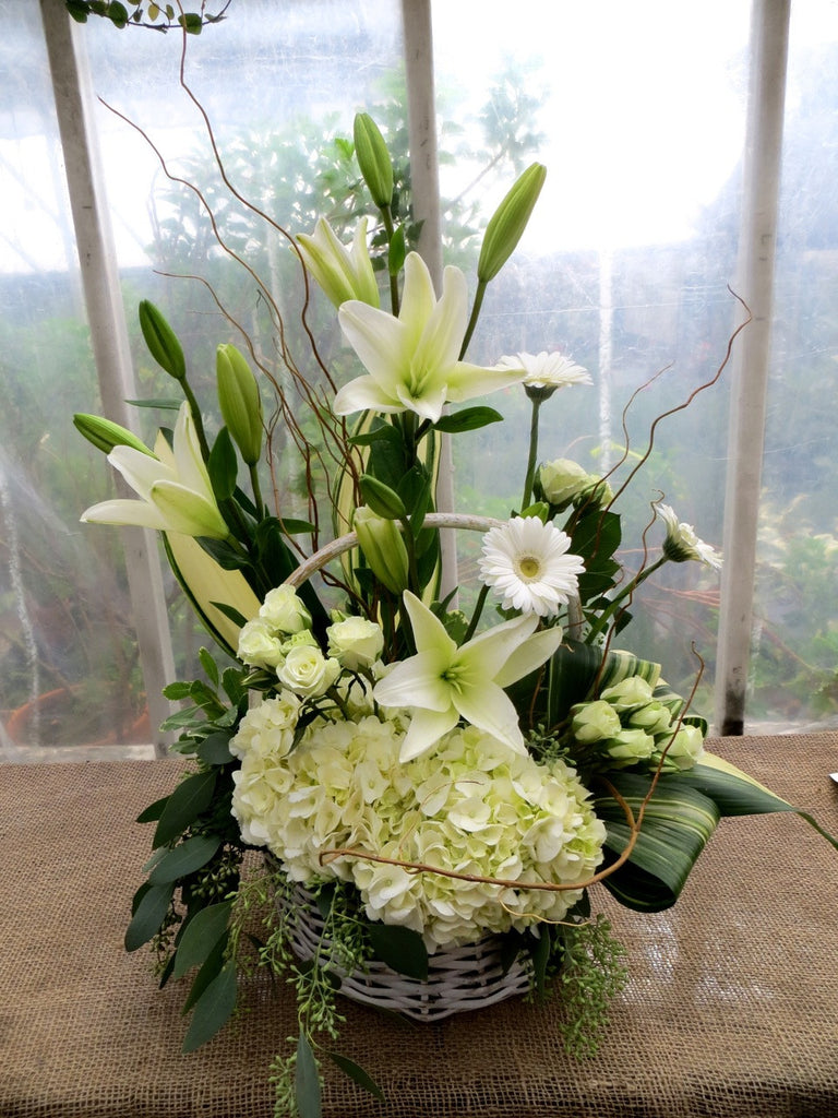 Georgetown Basket: White hydrangea, lilies, gerbera daisies, and spray roses. Designed by Michler's Florist in Lexington, KY