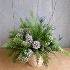 Wintergreen in birch pot