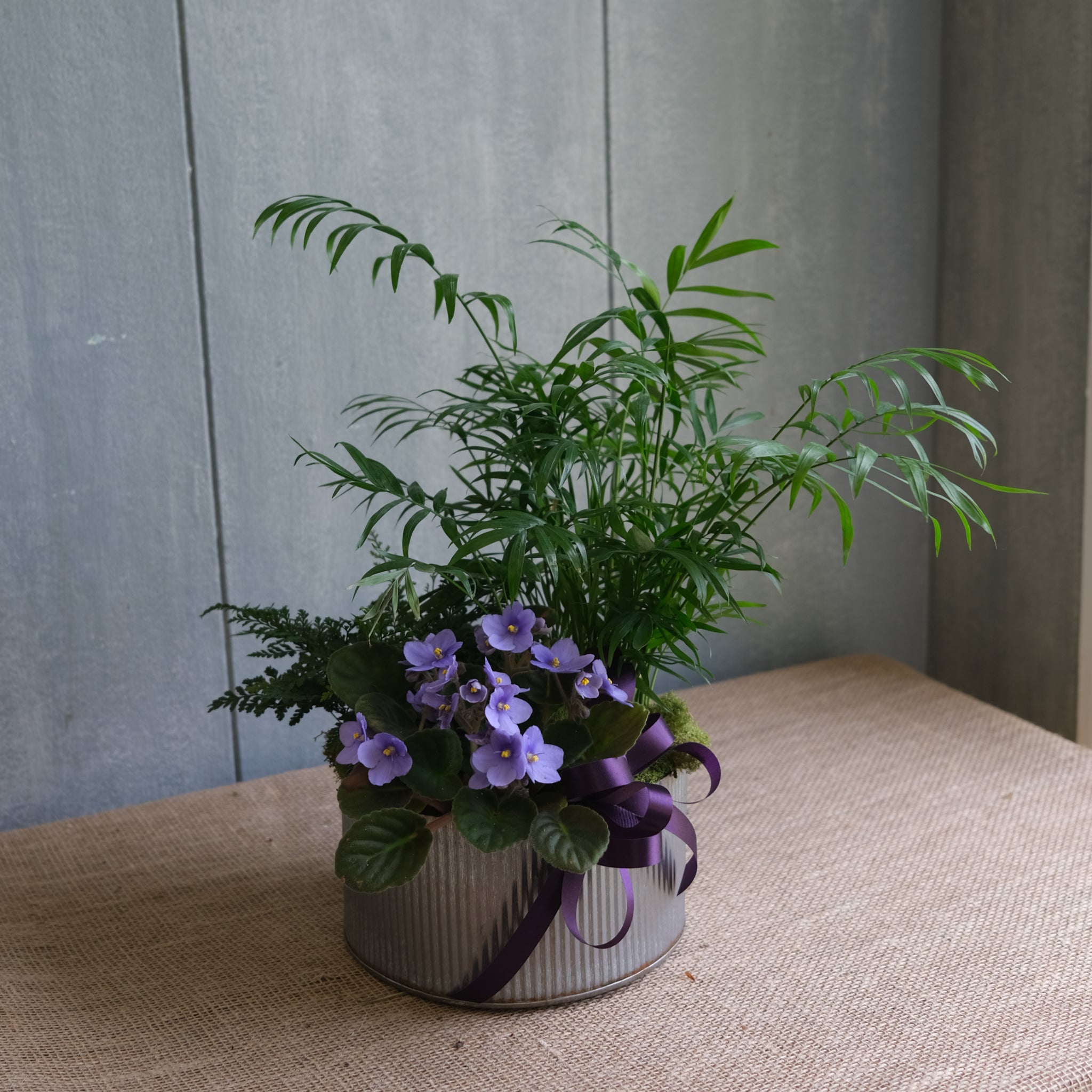 purple planter indoor Blooming Pet-friendly Planter delivered in Lexington, KY