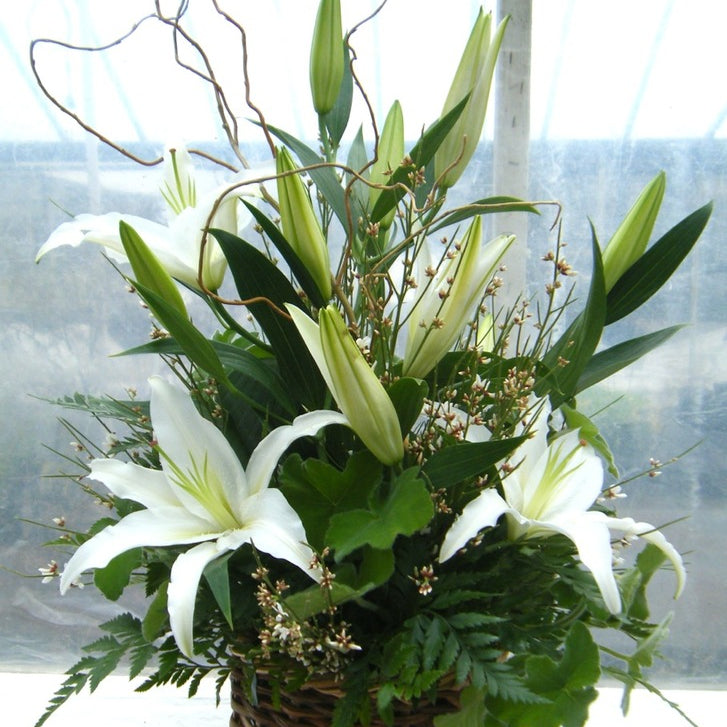 Lily Basket: Wicker basket arrangement with white lilies, willow branches and greenery. Designed by Michler's Florist in Lexington, KY