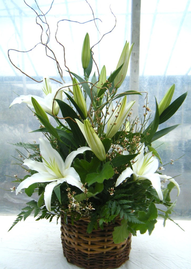 Lily Basket: Wicker basket arrangement with white lilies, willow branches and greenery. Designed by Michler's Florist in Lexington, KY