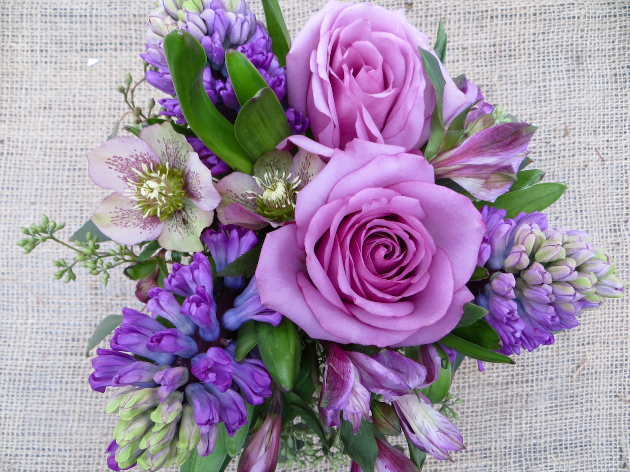 Purple Lavender Flowers Leaves … curated on LTK