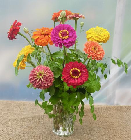 Summer Floral Arrangement of Zinnias by Michler's Florist