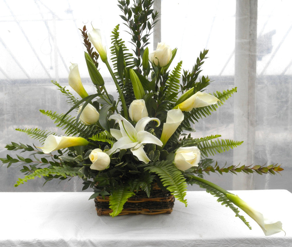 LaFayette Funeral Basket: Long-stem white Roses, elegant Calla Lilies in a Wicker Basket.  Michler's Florist in Lexington, KY