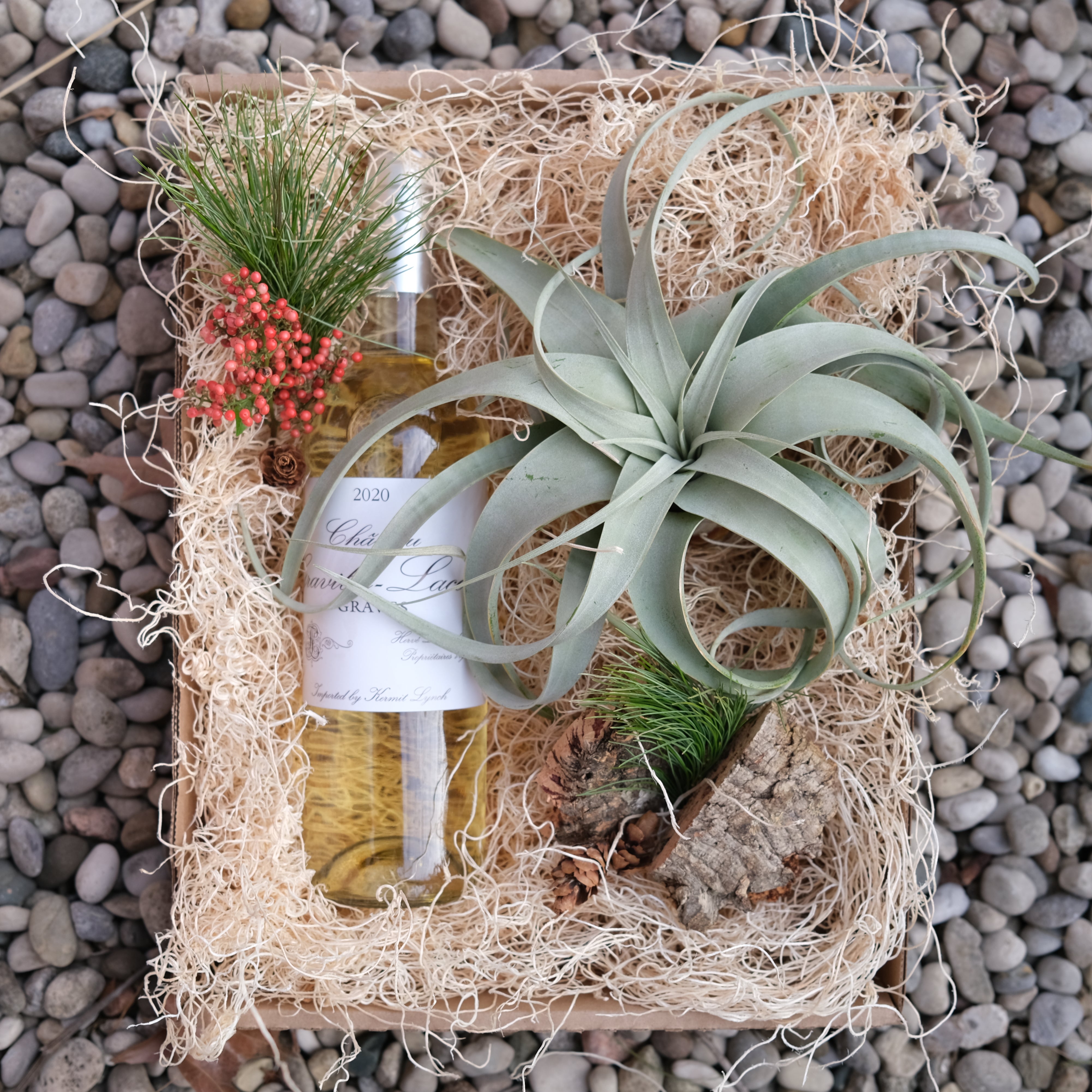Gift Box with White Wine and Air plant